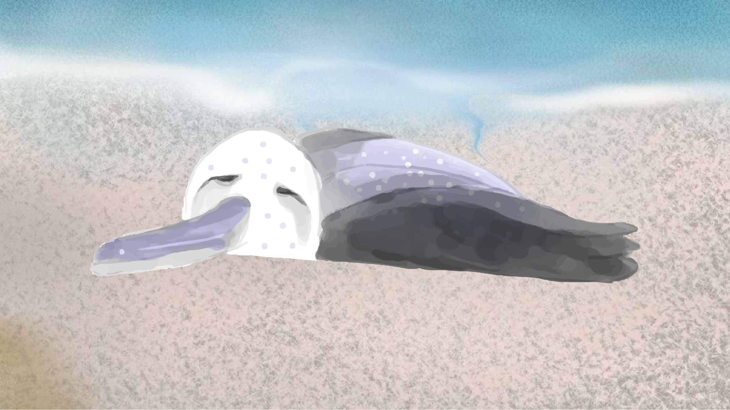 Q2
