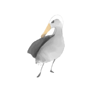 bird
